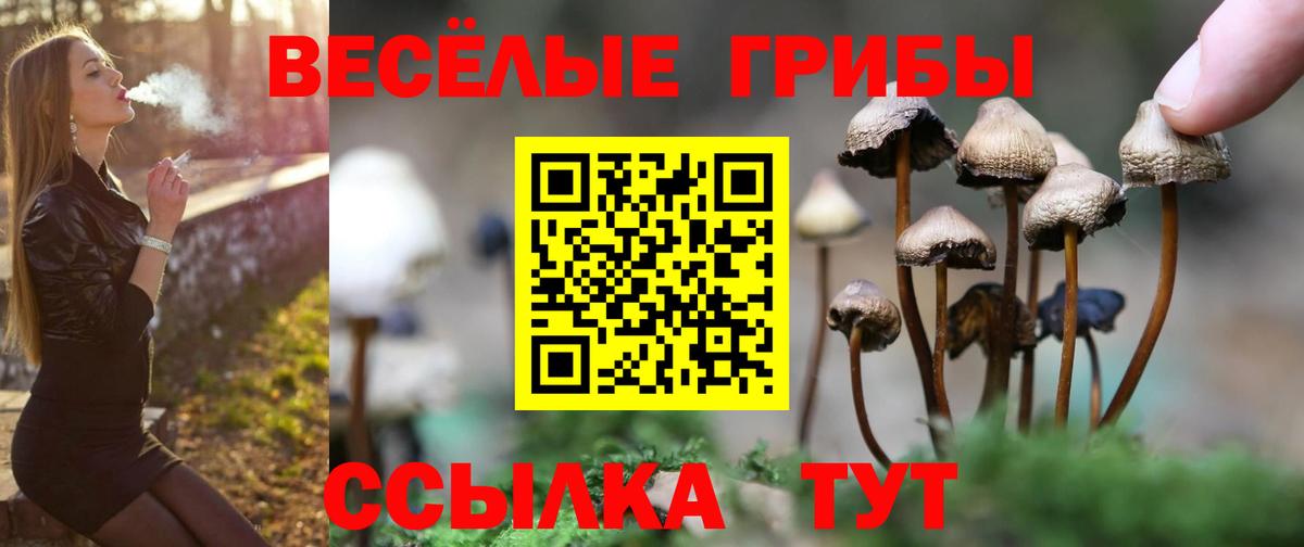 Псилоцибиновые грибы Psilocybine cubensis  Псилоцибиновые грибы Psilocybe  Вход с VPN  Кирово-Чепецк 
